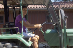 HPIM3374